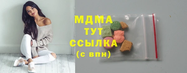 шишки Арсеньев