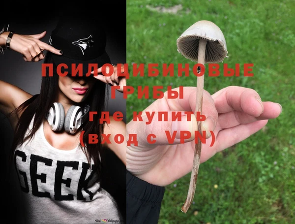 шишки Арсеньев