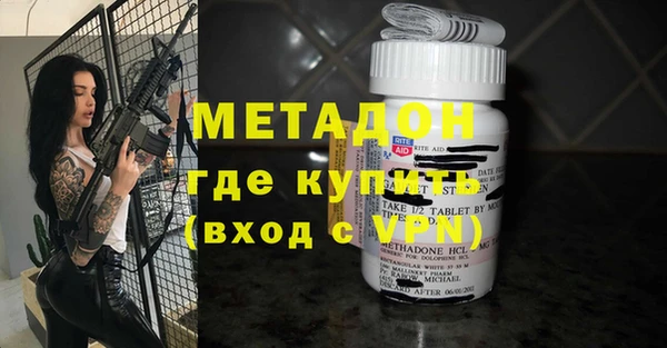 шишки Арсеньев